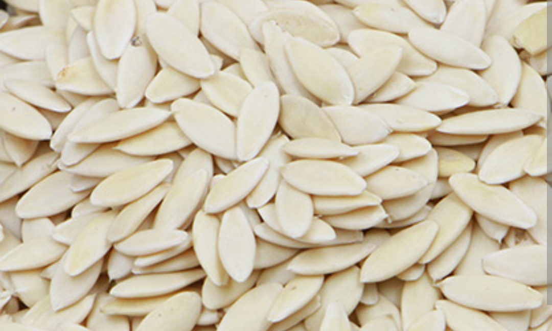 Cucumber Seeds