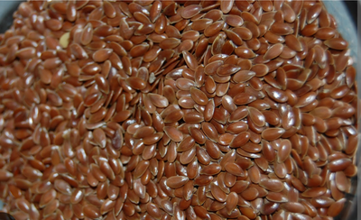 Flax Seeds